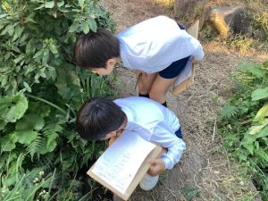 錦ヶ丘の自然を生かして(錦ヶ丘）